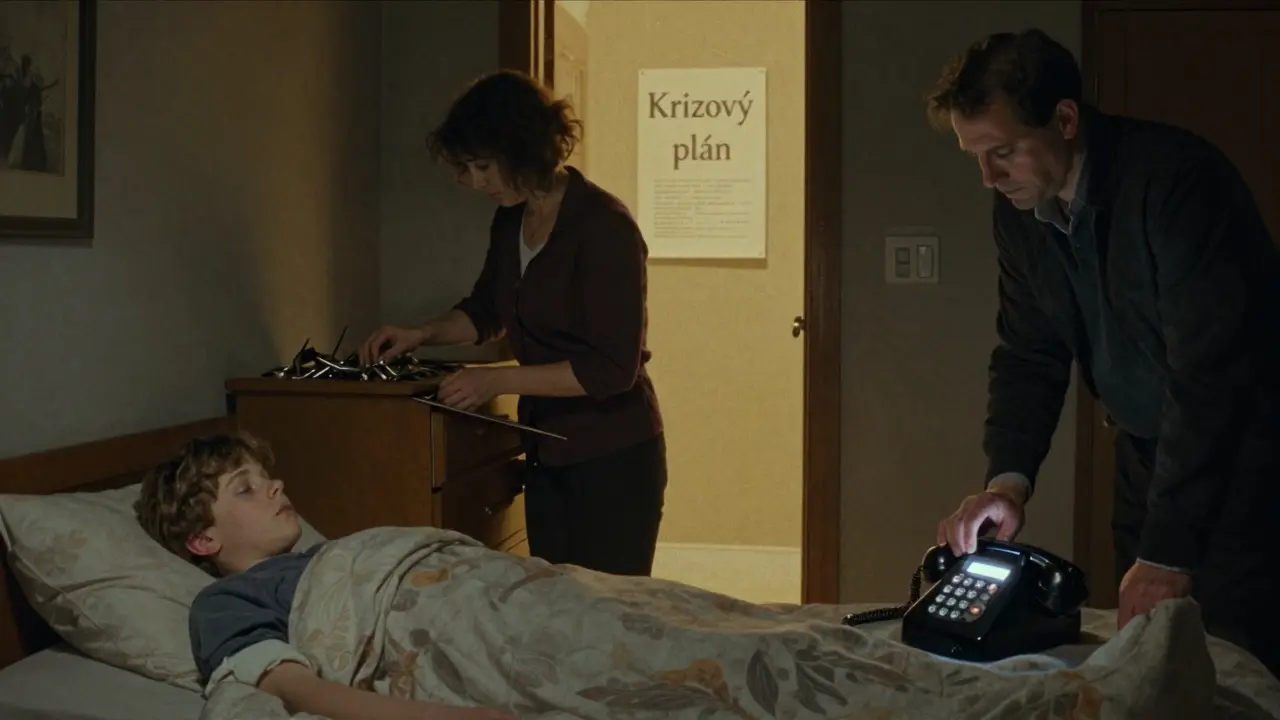 Matka odstraňuje nebezpečné předměty, zatímco otec volá na linku bezpečí v noci.